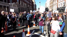 People's Vote March London 20th October - marchers in Whitehall