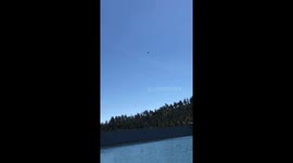 Hawk catches fish