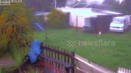 A lone chicken takes on a storm