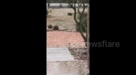 Massive hailstorm hits outskirts of Phoenix, Arizona