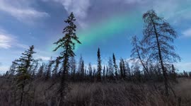 Saturday night lights! #auroraborealis #northernlights #sony #a7s #fairbanks #Alaska https://t.co/x2EHlDFJJC