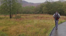 Man walking through forest hike autumn scene