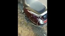 Man caught with three hissing cobras in scooter boot space