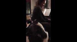 Just call her Feline Dion! Cat nails My Heart Will Go On duet with owner