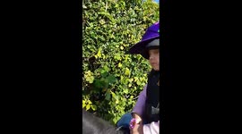 Harriett Platt, SCID, fast asleep riding her pony