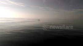 Basking shark swims up to rower in menacing fashion before diving under boat