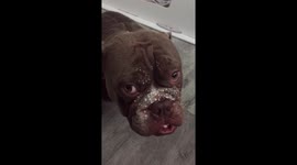 Walter strikes again