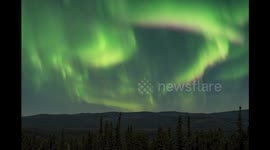 Northern lights lighting up the sky over Fairbanks, Alaska!