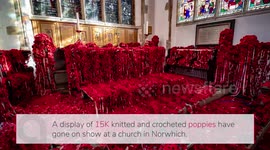 Thousands of knitted poppies displayed in church to mark WW1 centenary