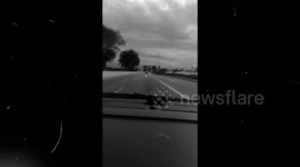 En busca de las castañas perdidas