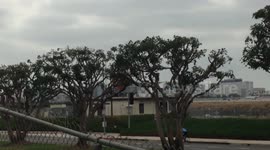Airplane Landing at LAX (Los Angeles Airport)