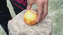 EXPERIMENT AXE VS Watermelon