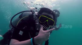 Discover Scuba Diving Pattaya Thailand