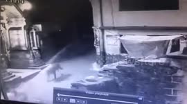 Most unlikely friendship: Leopard 'plays catch' with dog