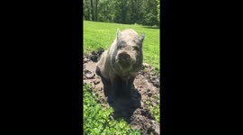 Looking good, feeling good.