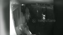 Moment a sick man filmed slapping a terrified pony before riding it around a livery yard