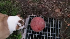 Determination pays off