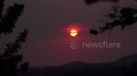 A group of birds fly past a setting sun.