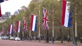 Flags of the Netherlands along the Mall during the state visit week