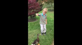 Boy feeds duck