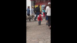 Boy mimics music