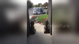 This dog loves fetching the mail