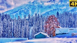 Welcome to Kashmir...