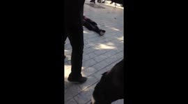 Woman blows herself up in Tunisia's capital, wounds 9