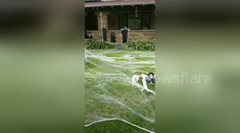 Newsflare Edit - My school is so ready for #Halloween and I'm here for it! https://t.co/jf4ufK2pbM