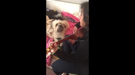 Doggy Singing Lessons