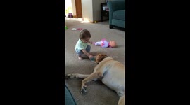 Toddler tries to play catch with dog