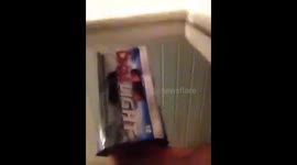 Coors light monster