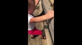 Toddler thinks goat is hers