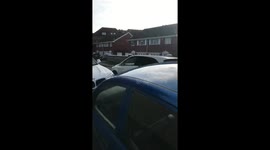 Interesting way of walking your cat