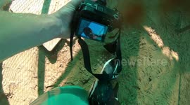 Adorable!! Penguin Wants To Be A Camera Bird!