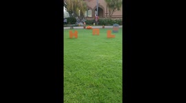 You think you have the best Halloween spirit? Think again!