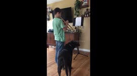 This puppy adores his owner's trumpet playing