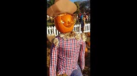 Child scared of scarecrow at Halloween