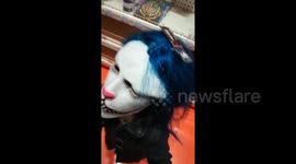 Toddler gets terrified by sight of her Halloween mask-clad older sister