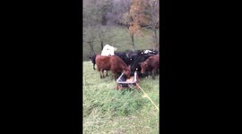 Is this cheating? https://t.co/vIXW02YNl4