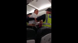 Plane passenger drinks entire bottle of vodka as pilot is forced to make emergency landing