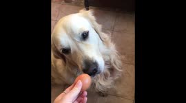 Egg Challenge