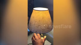 A wacky carpenter has launched a zany bid to make an old lamp the most famous lamp in the world - by getting everybody he meets to sign it