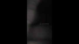 Continuation form first video  neighbour Claire Walters