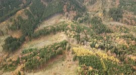 Autumn with drone