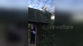 Newsflare Edit - “Dad, our pumpkin is rubbish”(efforts obliterated by the neighbours again) #HappyHallowen https://t.co/4YHx6Rxm5b