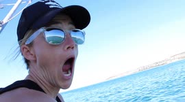 Tourist in shock as huge great white shark slams cage