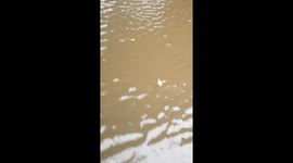 Under the bridge