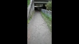 Flood3