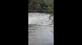 Flood4